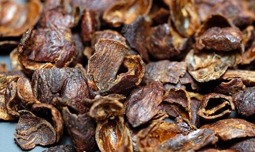 Manfaat Cascara untuk Aktivitas Sehari-hari